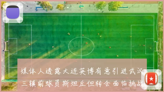 媒体人透露大连英博有意引进武汉三镇前球员斯坦丘但转会面临挑战