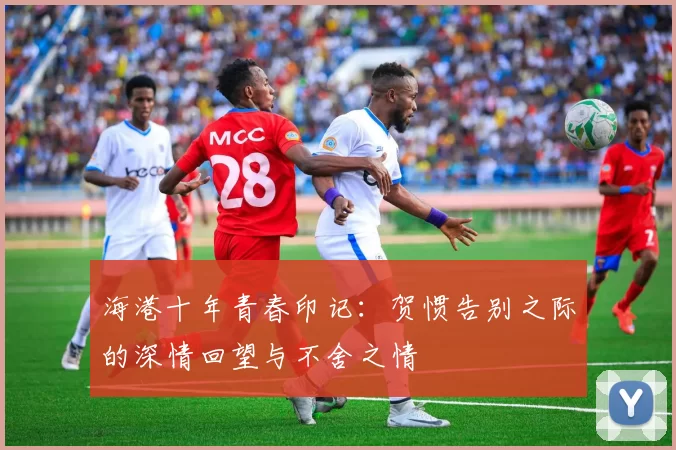 海港十年青春印记：贺惯告别之际的深情回望与不舍之情