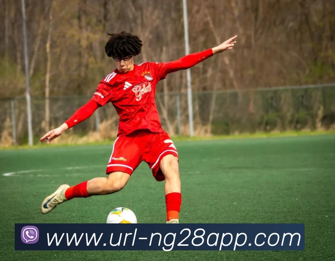 南宫体育平台生态图