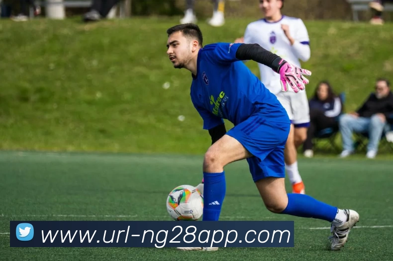 南宫体育APP 封面图